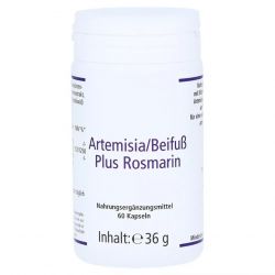 Артемизинин 150 мг капс. 60шт в Кургане и области фото
