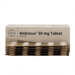 Андрокур (Ципротерон) таблетки 50мг №50 в Кургане и области фото